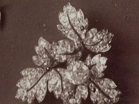 Parure feuilles de groseilliers broche 4.jpg