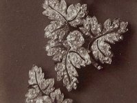 Parure feuilles de groseilliers broche 5.jpg